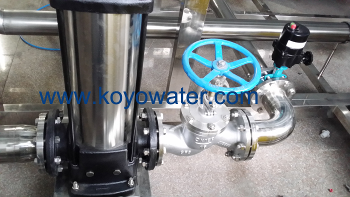 150T/H Pure Water Plant With RO System