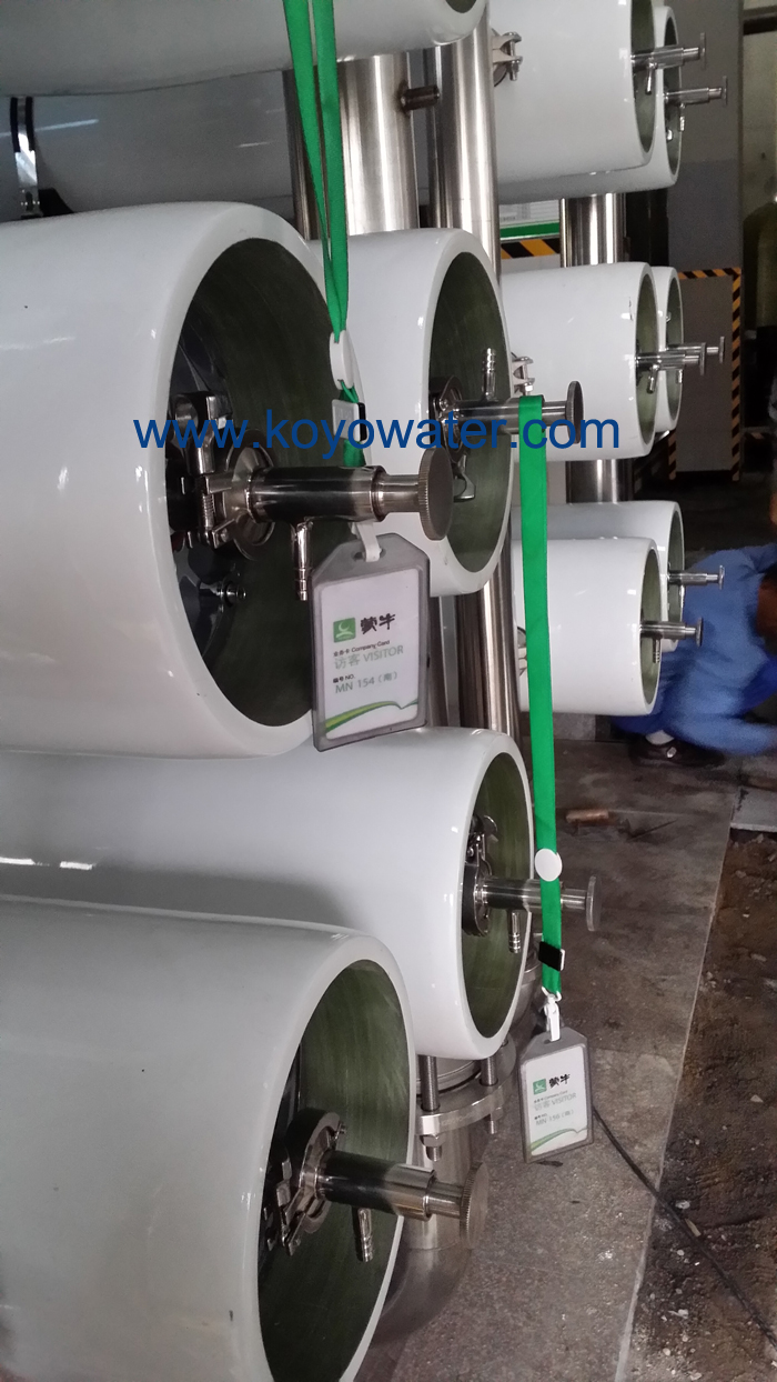 150T/H Pure Water Plant With RO System