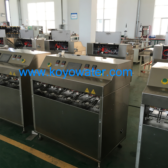 Fruit Shape Bag filling and sealing machine